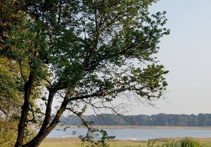 Vacation apartment/apartment for 2 guests with 57m² in Neuenkirchen (120362)