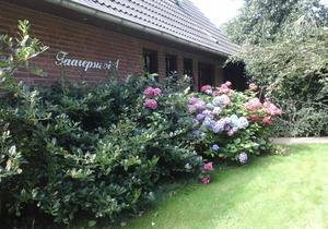 Vacation apartment in Borgsum (top right) for up to 2 people