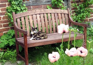 Vacation apartment on the right (Brümmer) - Holiday apartments in the countryside