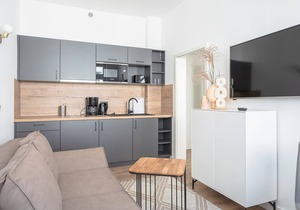 Vacation directly on the historic Alter Strom