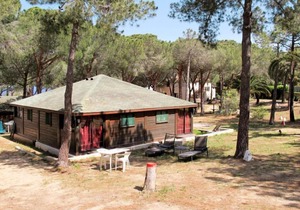 Vacation home Tramariccia (CAL101) in Calvi - 2 persons, 1 bedrooms