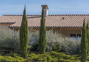 Villa Castelnau - air conditioning & heated swimming pool, perched in the grounds - XVI