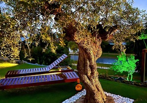 Villa La Tina Golf with Lake View, Pool & Wi-Fi