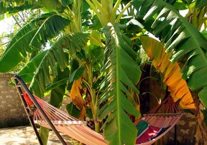 Villa Papaya in Jamboland-Diani