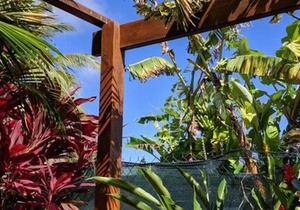 Villa Rosa Karibella: Family Apartment with Terrace