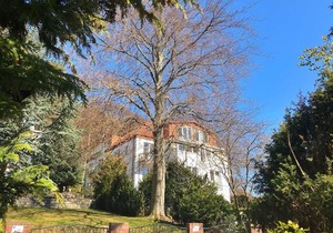 Villa Tizian Sassnitz