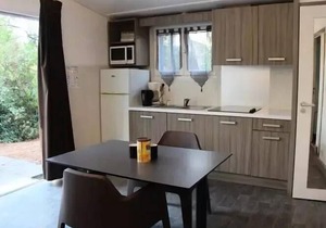 VVF Lège Cap Ferret * - 3 Room Lodge 6 People 1 baby - Forestière