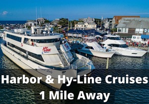 Walk To Beaches, Main Street, and Harbor. 2BR Cottage. Quiet Area. Captain Gosnold Village 8AB