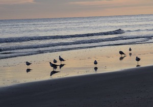 Waterway Views from this Coastal Condo! You will love this location!