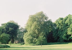 West Pepper Pot Lodge