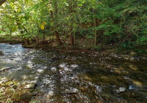 Whispering Creek Cabin