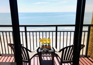 Winter Rates! Flawless Direct Oceanfront Suite