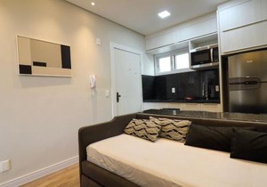 Wonderful fully renovated apartment - EI01H