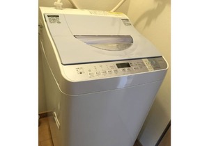 Wonderland Furano --Maple C