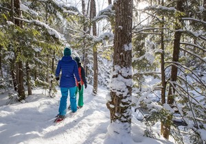 Woodcliff Hotel and Spa