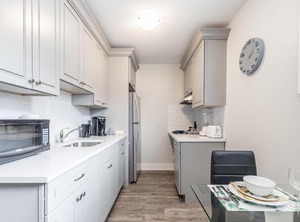Cozy Dt Hamilton | Central Hamilton