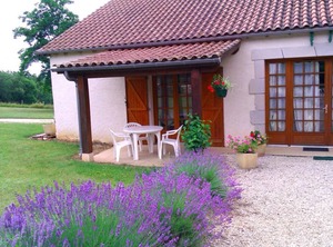 Shower Toilet | Cales