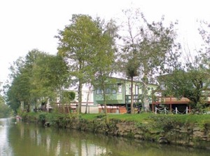 Mph York | Stamford Bridge