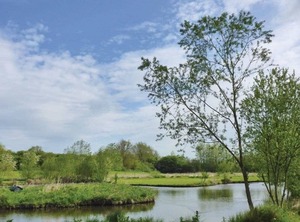 Mph York | Stamford Bridge