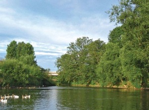 Mph York | Stamford Bridge