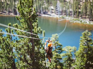 Pine Grove | South Lake Tahoe