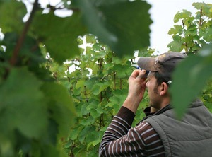 Shower Toilet | Losnich