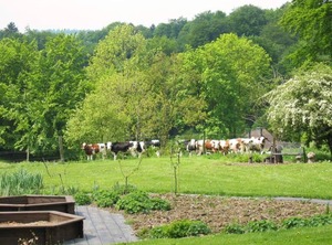 Shower Toilet | Monschau