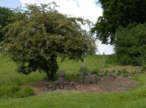 Shower Toilet | Monschau