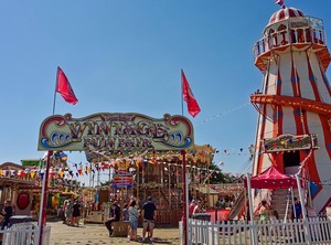 Conifers Walton The Naze | Walton on the Naze
