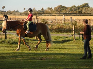 Shower Toilet | Grothusenkoog