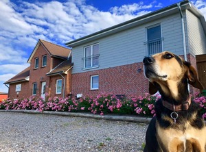 Shower Toilet | Vollerwiek