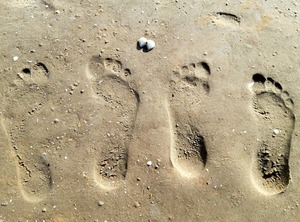 Shower Toilet | Vollerwiek