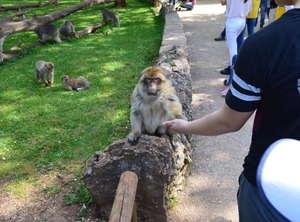 Holiday Shower Toilet | Le Bougayrou