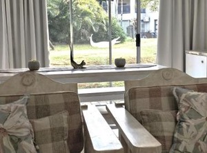 The Bridge Holiday Resort | St. Lucia