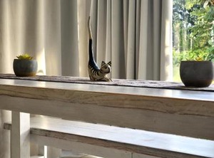 The Bridge Holiday Resort | St. Lucia