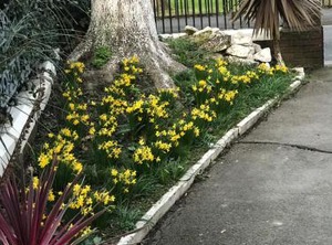 Gosport Inn | Gosport