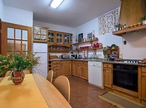 The Castle Hill | Montalegre e Padroso