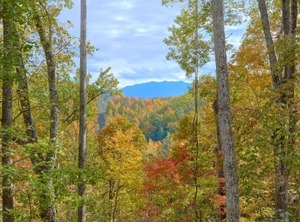 Tranquility | Gatlinburg - Pigeon Forge