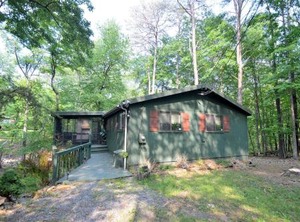Zen Mountain Retreat | The Woods