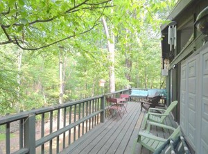 Zen Mountain Retreat | The Woods