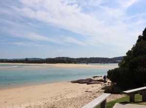 Ads Collins Nights | Merimbula