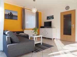 Alte Reihe Silbermöwe | Zingst