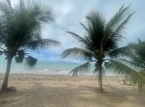 Apartamento | Ponta do Mangue