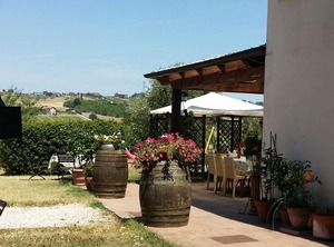 Winery The Countryside | Gemmano