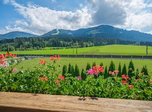 Brixen Thale | Moosen