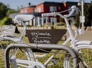 The Harbor | Puddemin