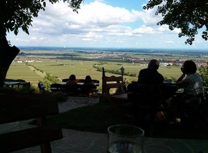 No Pfaffensee | Harthausen