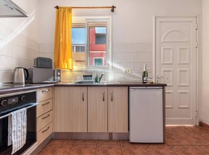 Live Pez Azul Puerto De La Cruz | Puerto de la Cruz