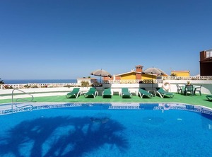 Live Pez Azul Puerto De La Cruz | Puerto de la Cruz