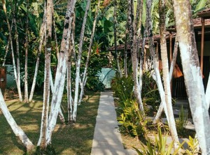 Arco Iris Chales | Maresias